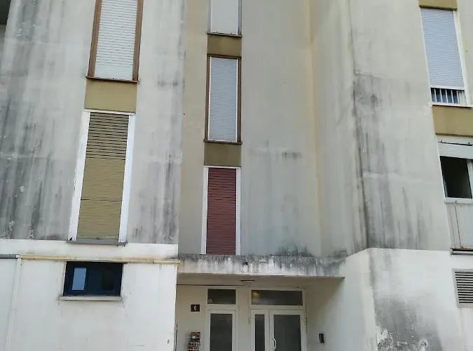 Ryanair's Urban Flat In Zadar-kolovare * Zara
